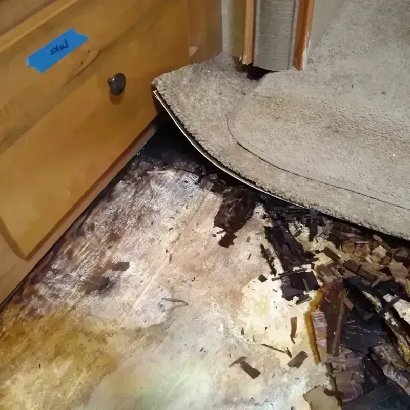 Wood Floor Water Damage in Orange County, TX